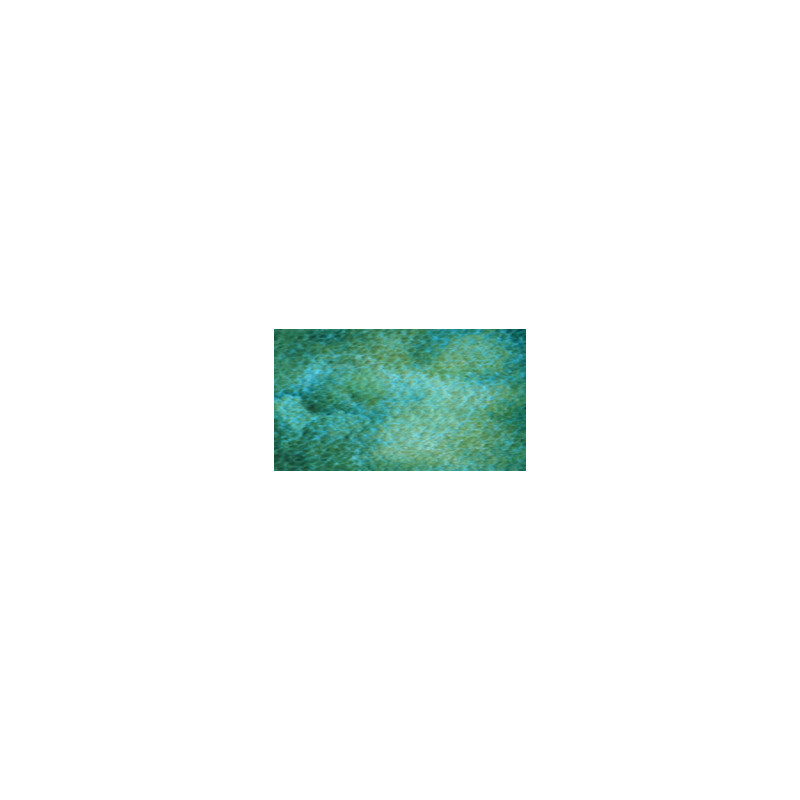 Paon vert - aquarelle granuleuse ArtistsTube 15ml Holbein