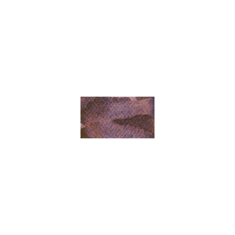 Geai Eurasien gris rose - aquarelle granuleuse ArtistsTube 15ml Holbein