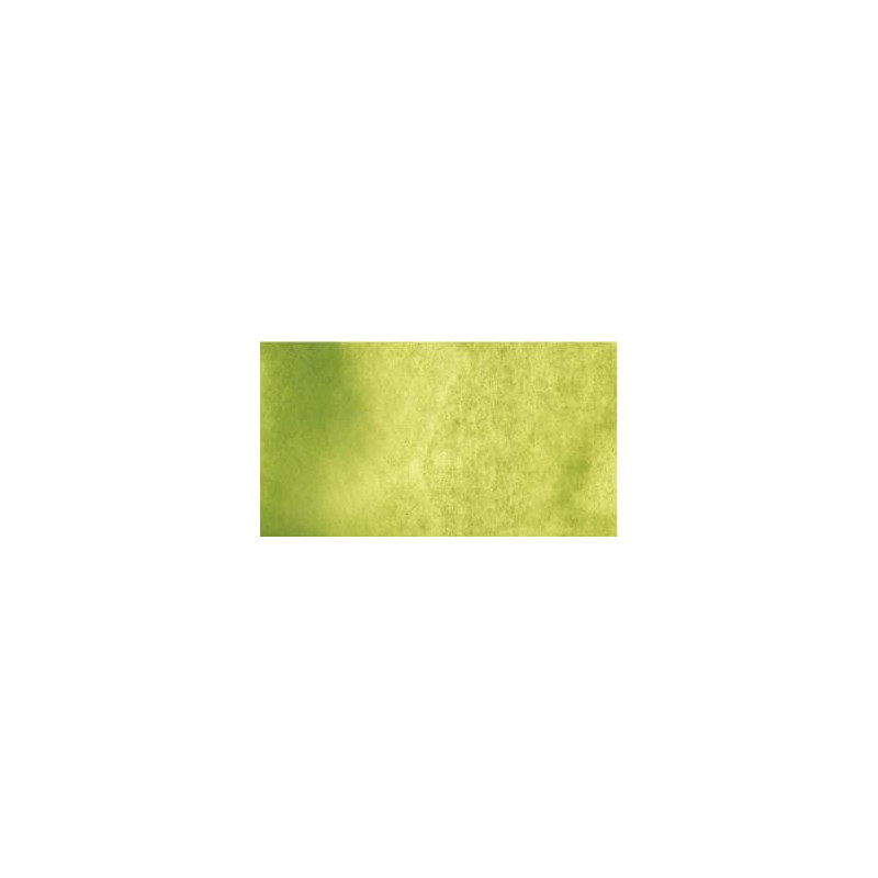 Terre verte (teinte jaune) - aquarelle PWC Tube 15ml ShinHan