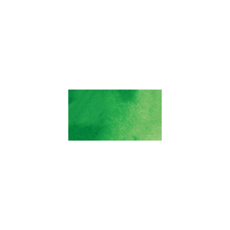 Vert de Hooker - aquarelle PWC Tube 15ml ShinHan
