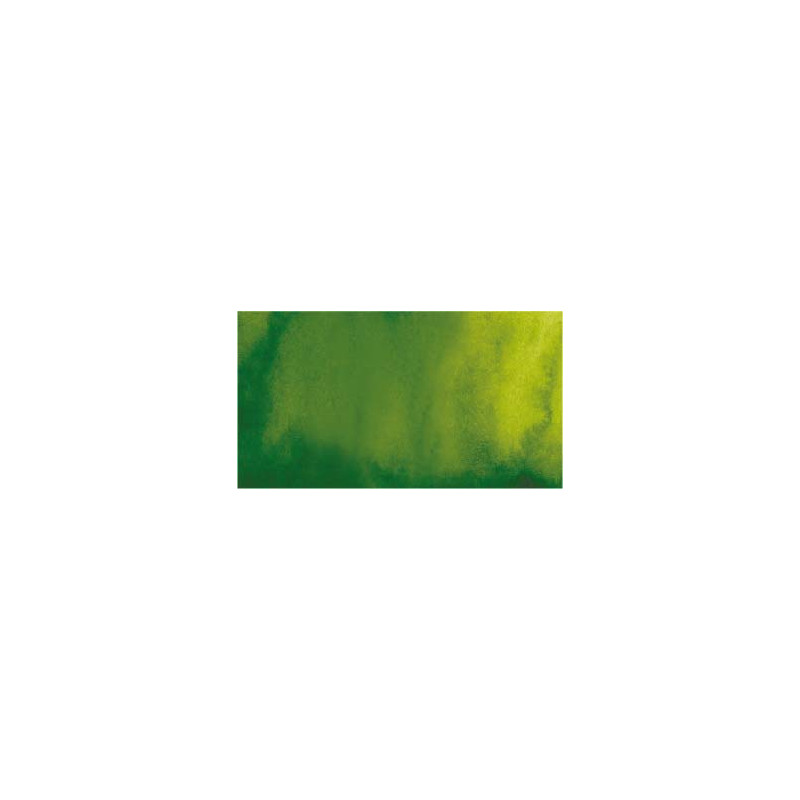 Vert de vessie - aquarelle PWC Tube 15ml ShinHan