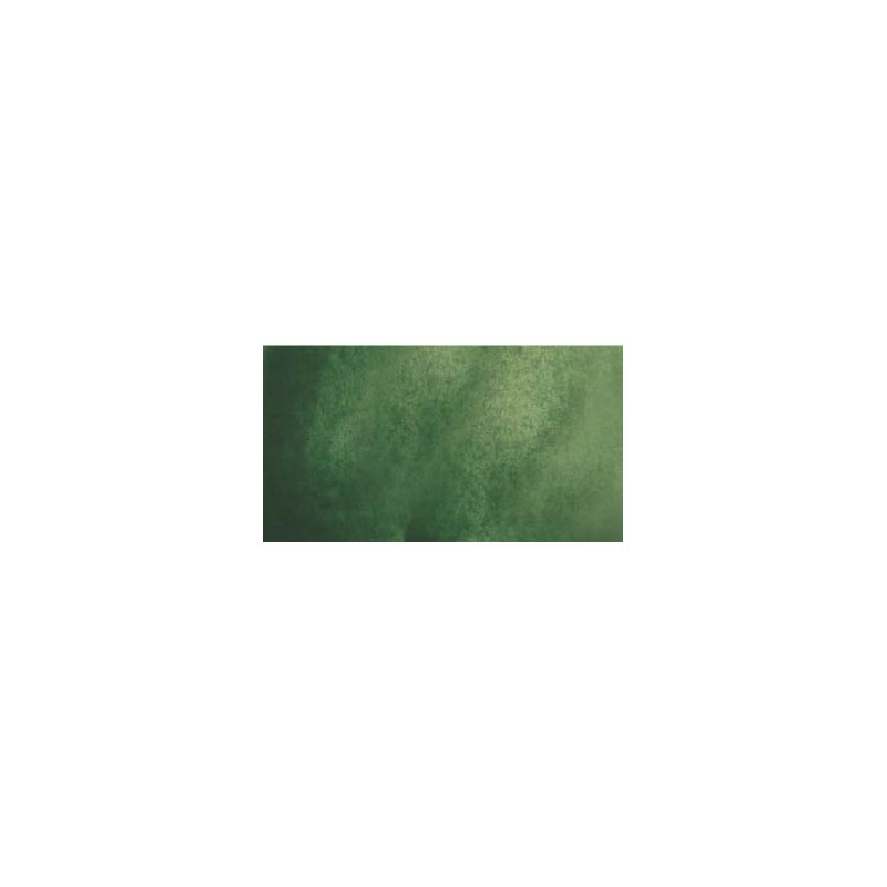 Terre verte - aquarelle PWC Tube 15ml ShinHan