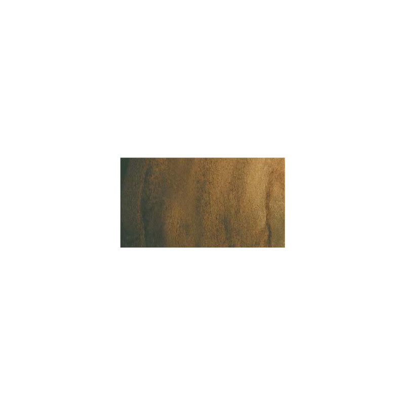 Terre d'ombre - aquarelle PWC Tube 15ml ShinHan