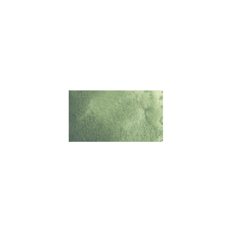 Gris de Davy - aquarelle PWC Tube 15ml ShinHan