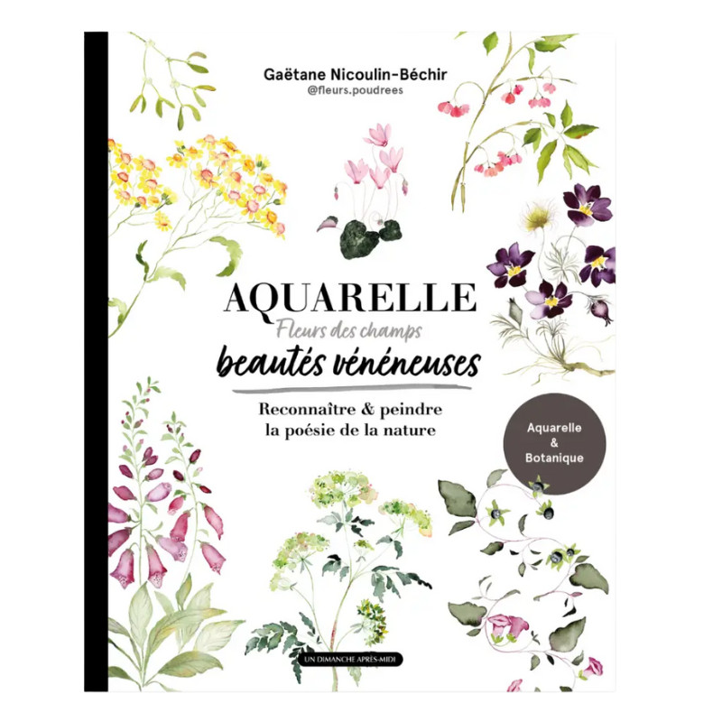 Aquarelle Fleur des Champs, Beautés vénéneuses Gaëtane Nicoulin