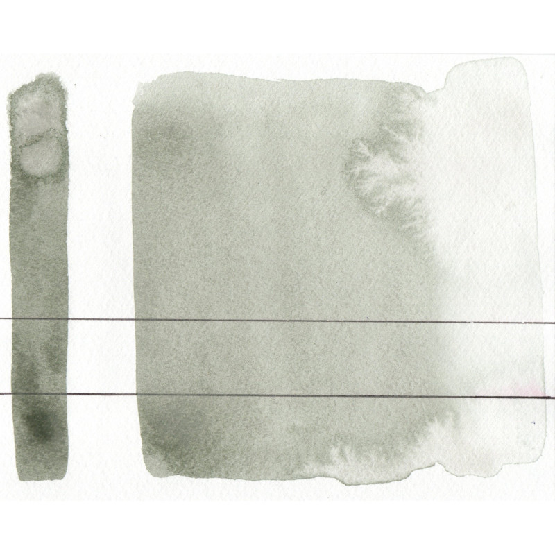 Gris de Davy- Aquarelle Aquarius ½ godet Roman Szmal