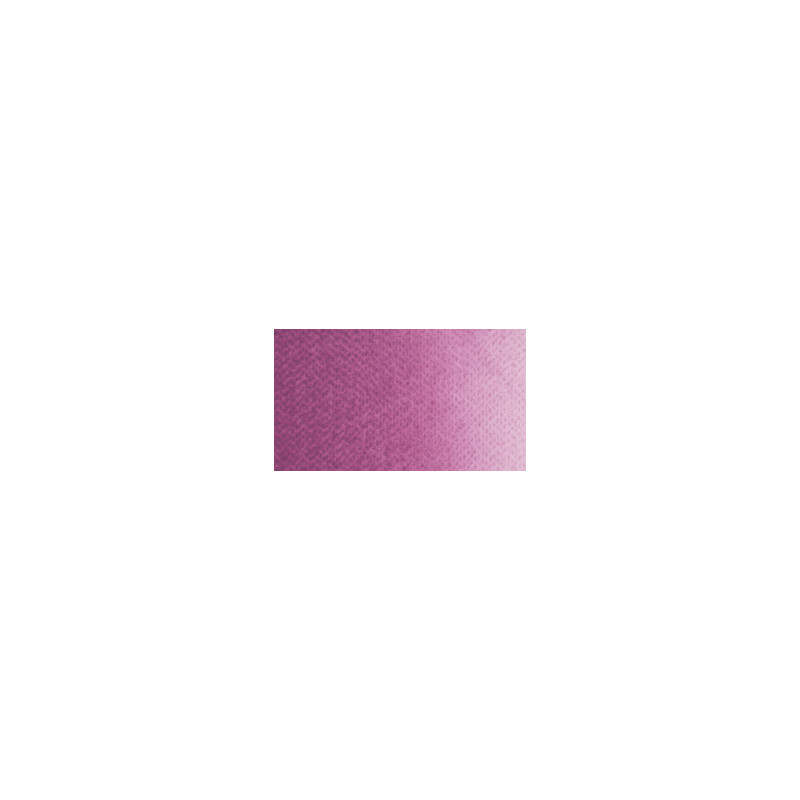 Lilas Pâle - Aquarelle Godet Rosa Gallery