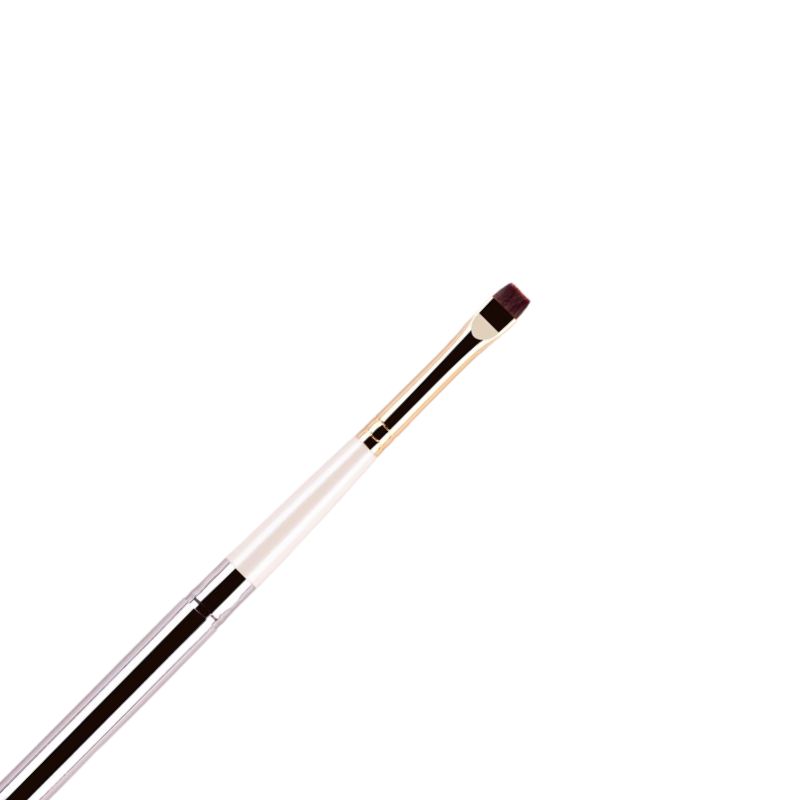Pinceau de voyage Eradicator R24 Rosemary
