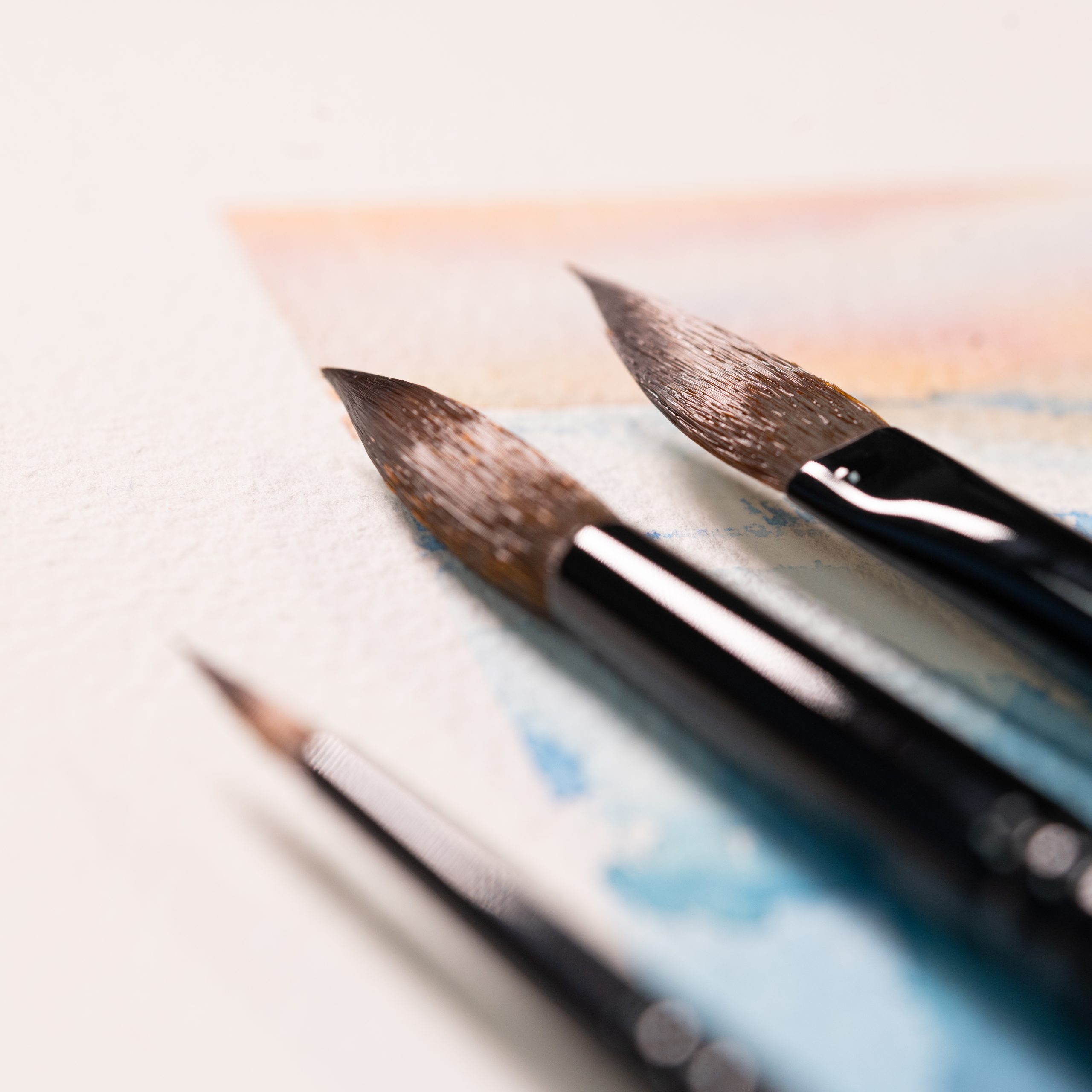 Sélection de pinceaux Stradivarius Raphaël sur une aquarelle