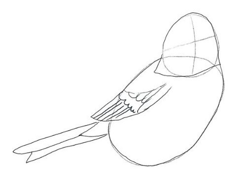 Étape 3, le dessin de l'aile et de la queue de la mésange