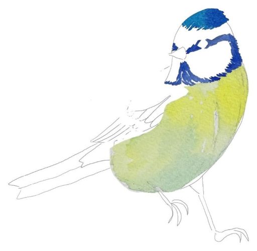 Étape 6, le masque bleu de la mésange peint à l'aquarelle