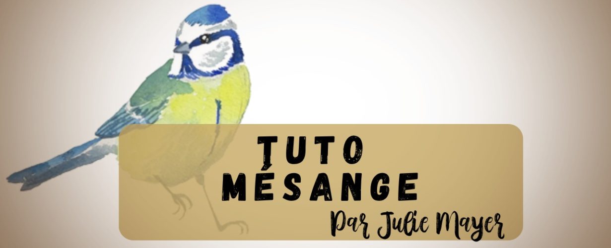 Tuto mésange à l'aquarelle par Julie Mayer