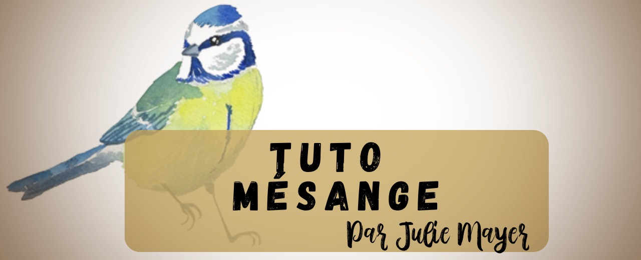 Tuto mésange à l'aquarelle par Julie Mayer