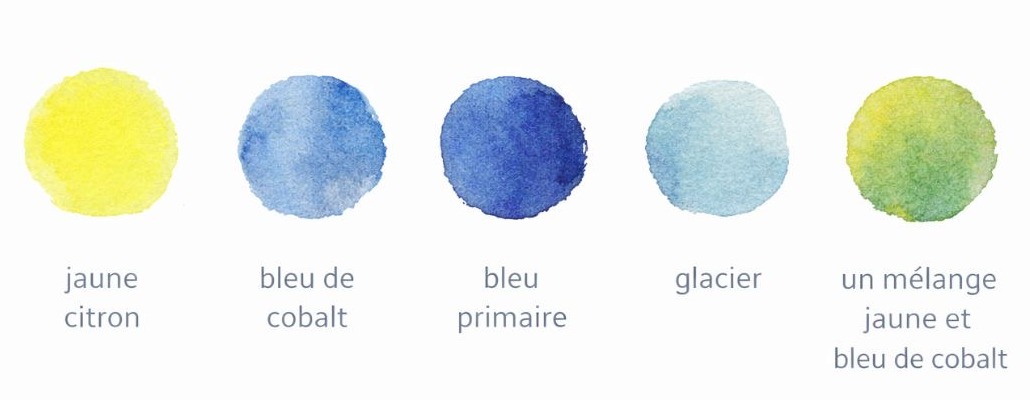 Palette de couleurs pour peindre une mésange à l'aquarelle