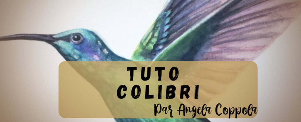 Peindre un colibri iridescent avec les aquarelles Winsor & Newton Professional