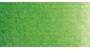 Vert de vessie - Tube 15 ml Schmincke Horadam 