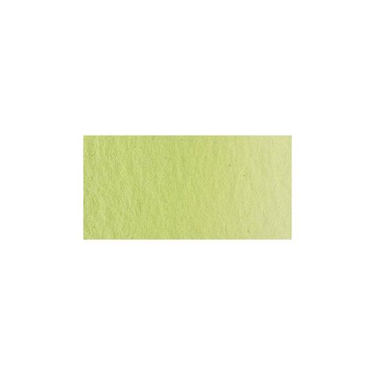 Vert de mai - Aquarelles 1/2 Godet Lukas 1862