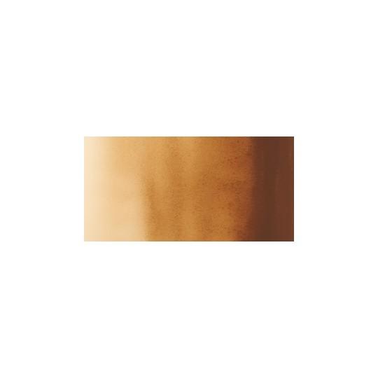 Terre d'Ombre brûlée - Aquarelle Godet entier Sennelier