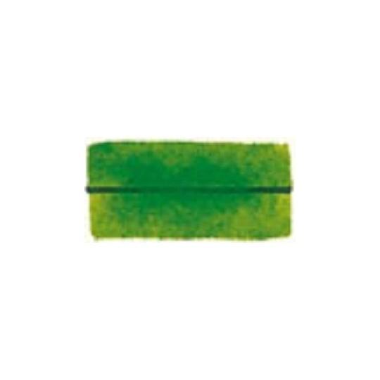 Vert de vessie - Aquarelles Godet géant Blockx