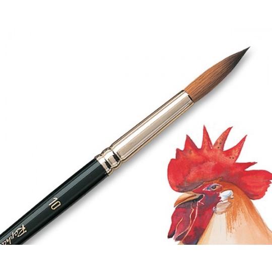 Pinceau série 8404 Raphaël n°6