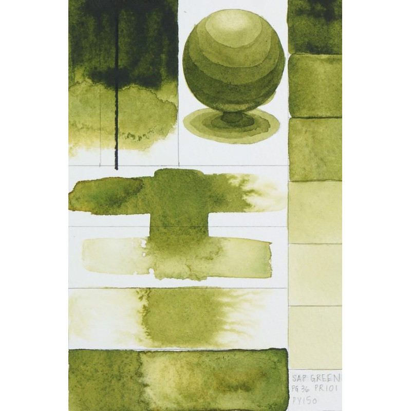 Vert de vessie  Aquarelle Tube 11ml QoR