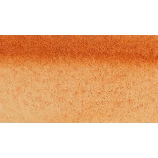 Terre de Sienne Brûlée - Marqueur d'aquarelle Winsor & Newton