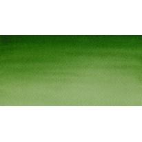 Vert de Hooker clair - Aquarelle ½ godet Cotman
