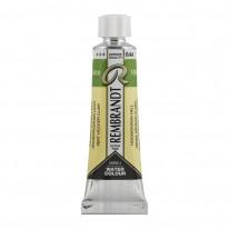 Vert de Hooker clair - Aquarelles Tube 10 ml Rembrandt