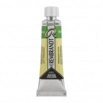 Vert permanent - Aquarelles Tube 10 ml Rembrandt