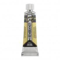 Vert interférence - Aquarelles Tube 10 ml Rembrandt
