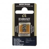 Terre de Sienne naturelle - Aquarelles 1/2 Godet Rembrandt