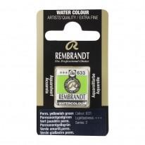Vert jaune permanent - Aquarelles 1/2 Godet Rembrandt
