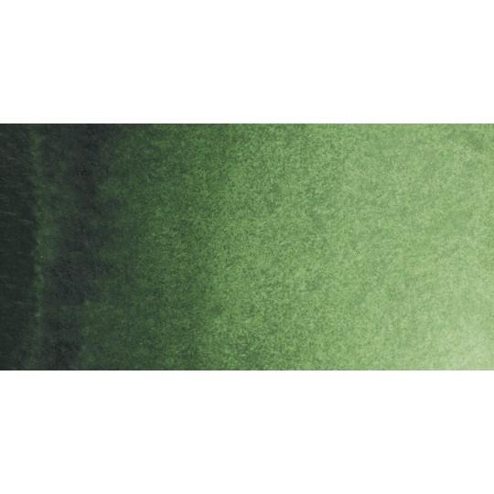 Vert de Hooker clair - Aquarelles 1/2 Godet Rembrandt