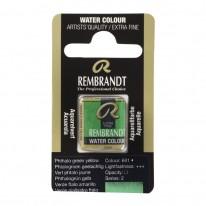 Vert phtalo jaune - Aquarelles 1/2 Godet Rembrandt