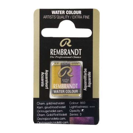 Caméléon or rouge violet - Aquarelles 1/2 Godet Rembrandt