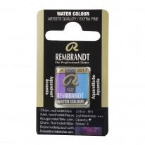 Caméléon rouge violet bleu - Aquarelles 1/2 Godet Rembrandt