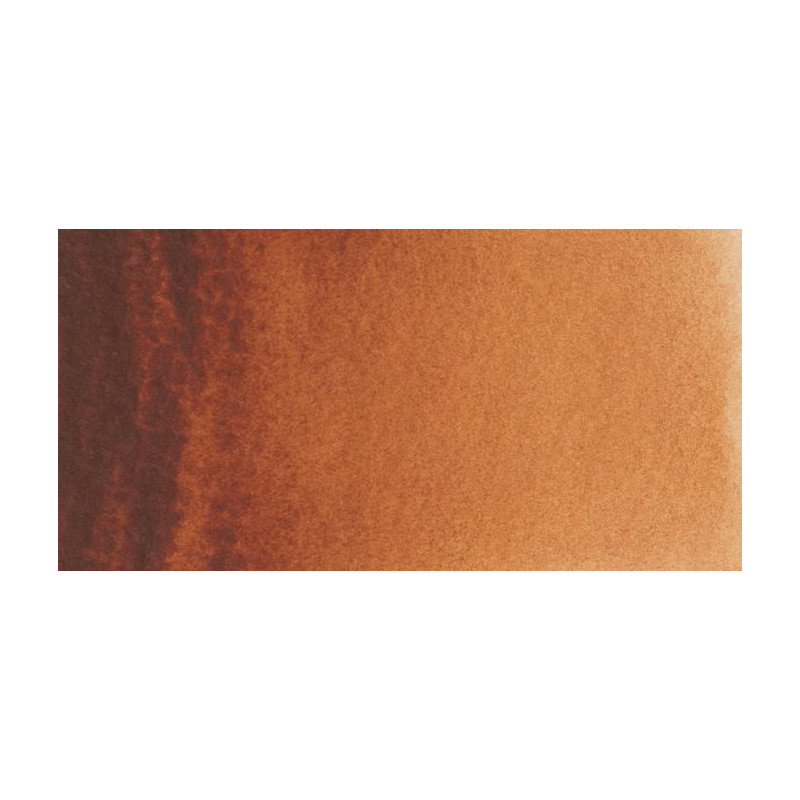 Terre de Sienne Brûlée - Aquarelles Tube 20 ml Rembrandt