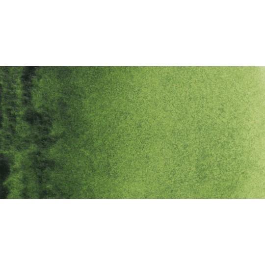 Vert de vessie - Aquarelles Tube 20 ml Rembrandt