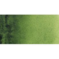 Vert de vessie - Aquarelles Tube 20 ml Rembrandt