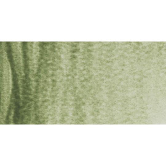 Terre verte - Aquarelles Tube 20 ml Rembrandt