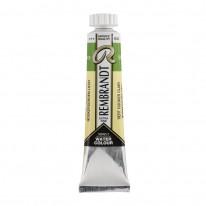 Vert de Hooker clair - Aquarelles Tube 20 ml Rembrandt