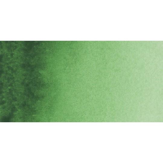 Vert permanent - Aquarelles Tube 20 ml Rembrandt