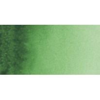 Vert permanent - Aquarelles Tube 20 ml Rembrandt