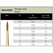 Pinceau aquarelle Syrus rond Isabey série 6224i n°2