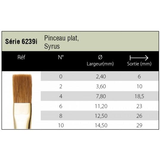 Pinceau aquarelle Syrus plat Isabey série 6239i n°6