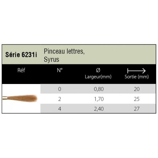 Pinceau aquarelle Syrus lettreur Isabey série 6231i n°2