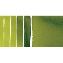 Vert de vessie - aquarelle extra-fine ½ godet Daniel Smith