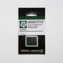 Vert cascade - aquarelle extra-fine ½ godet Daniel Smith