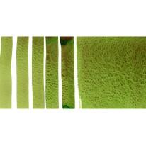 Apatite verte véritable - aquarelle extra-fine ½ godet Daniel Smith