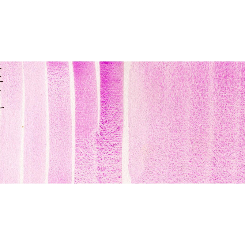 Violet de cobalt - aquarelle extra-fine Tube 5 ml Daniel Smith